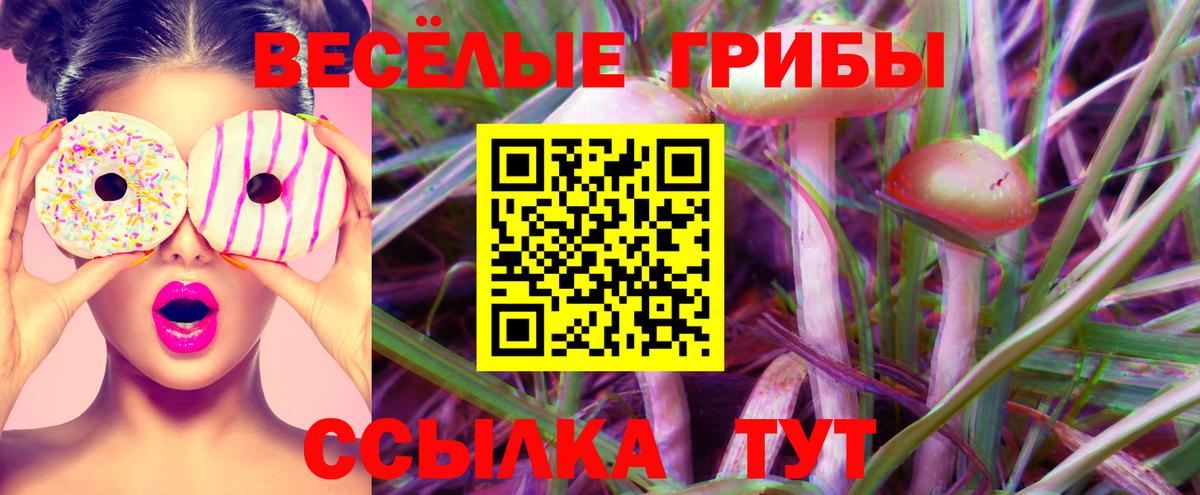 Псилоцибиновые грибы Psilocybe Ногинск